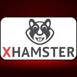 X-HAMSTER